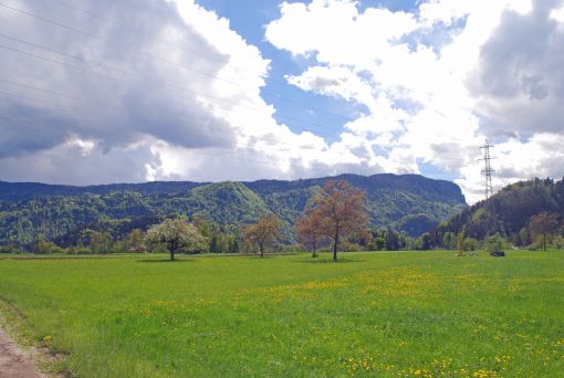 Field near Bled