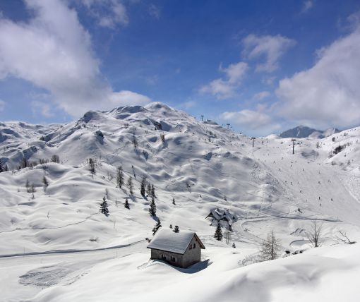 Vogel skiing