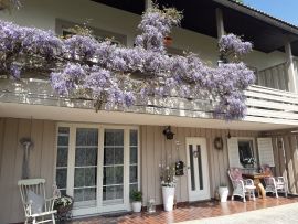 Apartment Flowers, Bled, Alpine Region